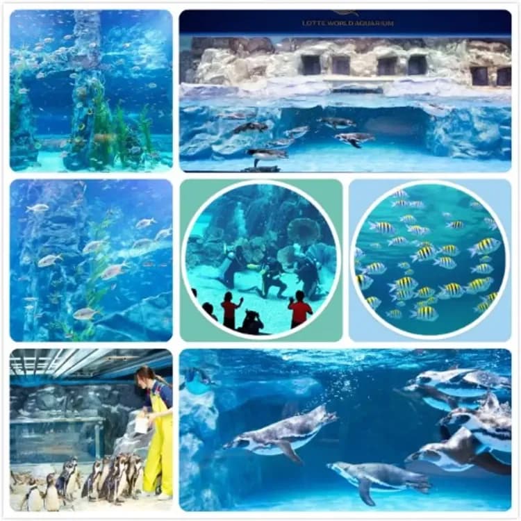 樂天雙主題(樂天世界+水族館)