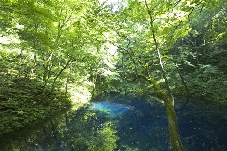 珍稀旅│東北北海道五鐵道四秘湯│藏王纜車．銀山溫泉．暖爐列車烤魷魚．JR五能線海岸列車．百萬夜景函館7日-5