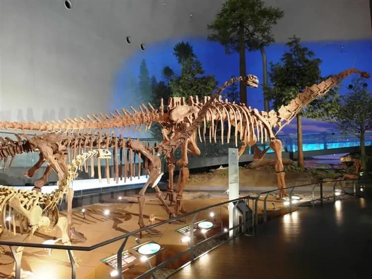 福井恐龍博物館－世界三大恐龍博物館