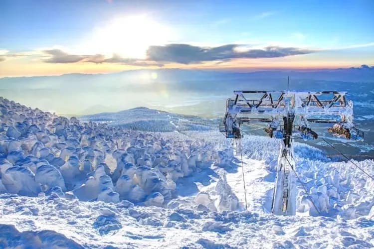 藏王樹冰纜車(冬季限定樹冰奇景)