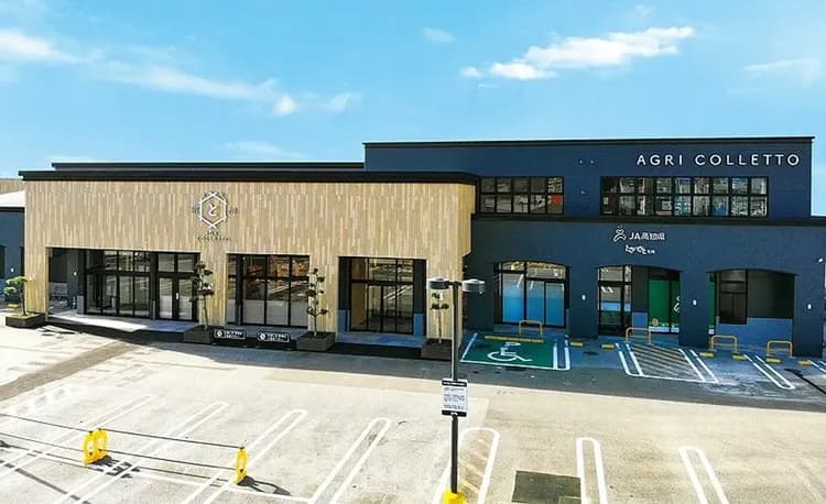 高松四國冬景色～愛媛松山古城、仁淀川屋型船、大步危遊覽船、名園名景漫遊五日-11