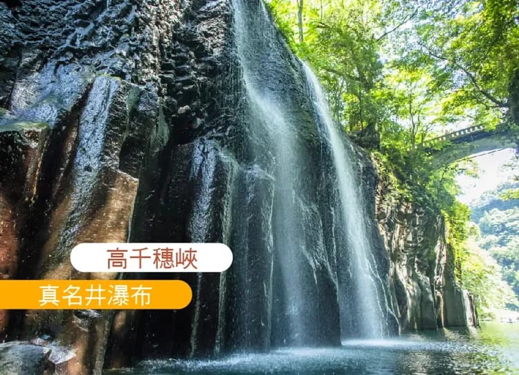 南北九州心漫遊夢幻彩燈5日.保住阿蘇溫泉.御船山樂園.採草莓體驗.柳川遊船.高千穗峽.阿蘇火山.螃蟹吃到飽(佐/宮)-10