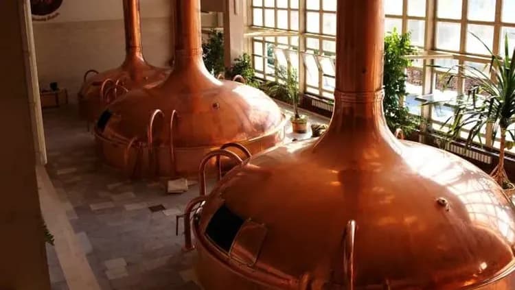 捷克景點, 皮爾森, 酒廠參觀, 品酒