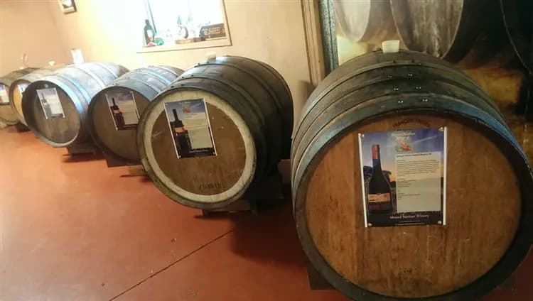 澳洲旅遊｜《每月一物》考拉奔度假山莊·海豚島·飛躍絕美海岸線·擁抱無尾熊·微醺酒莊·奇趣鴨海陸大遊船·黃金小資9日-11