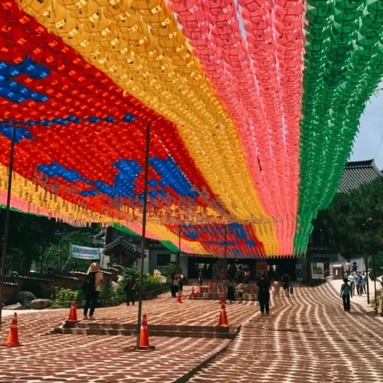 秋冬搶先GO|韓冬滑雪|首爾|人氣滑雪.鮮採草莓.恩平韓屋村幽境.秘境瀑布Café.最美星空圖書館.必逛聖水洞+明洞四日-5