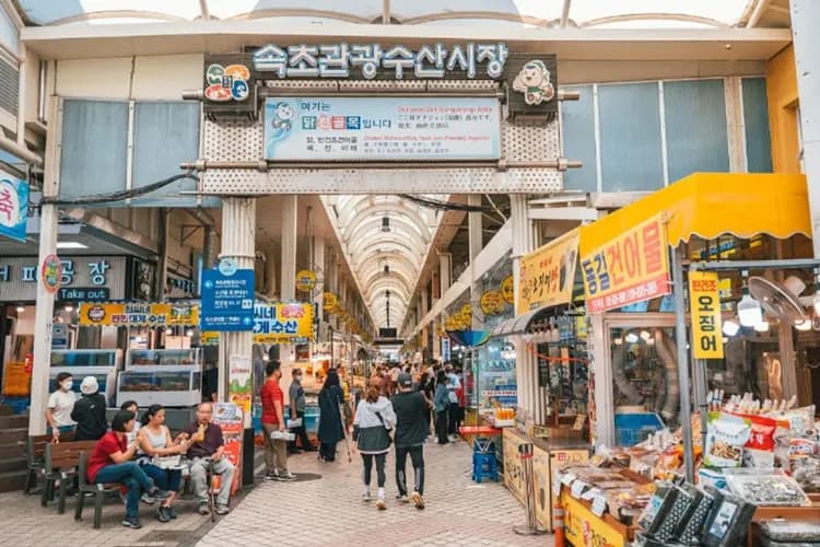 束草觀光水產市場 (自理)