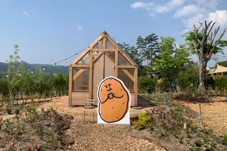 馬鈴薯田(咖啡廳)