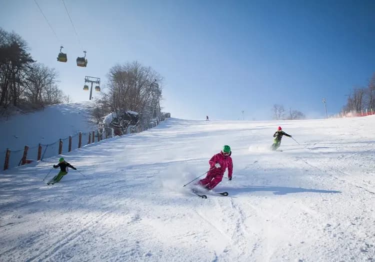 山鱒魚慶典｜韓冬滑雪＋冰釣｜首爾｜華川冰魚節《冰釣鱒魚_烤鱒魚_冰上雪橇》.住明洞乙晚.滑雪體驗.6小時樂園.採草莓五日-6