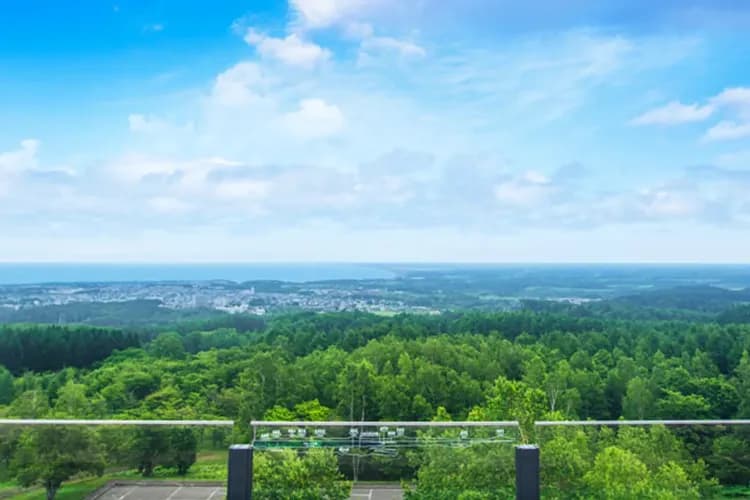 北海道秘境道東～網走流冰船、阿寒雪樂園、小樽運河旅情、三大蟹溫泉香五日-9