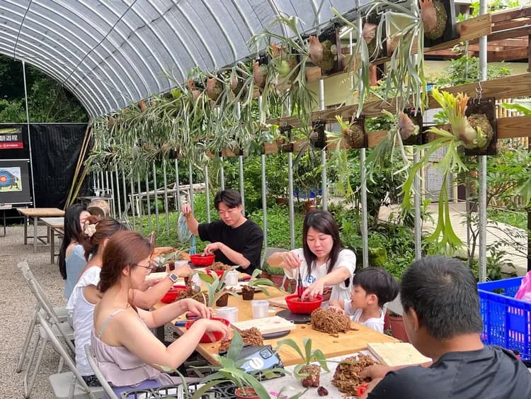 在山林溫室中親手完成一板專屬的鹿角蕨上板作品，體驗慢工與植物對話的療癒時光，適合大人小孩共同參與。
