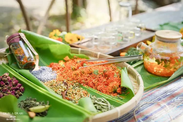 香草原料與手作課程展示  農場自種金盞花、玫瑰、茶樹等香草乾材，現場可參與香草茶調配、純露萃取、保養品手作等多樣體驗，天然無添加，深受親子與自然派旅客喜愛。