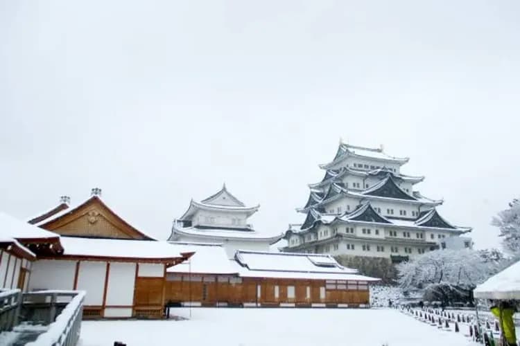 北陸FUN寒假～恐龍博物館、日本樂高樂園、牧歌之里戲雪、三方五湖纜車五日-7