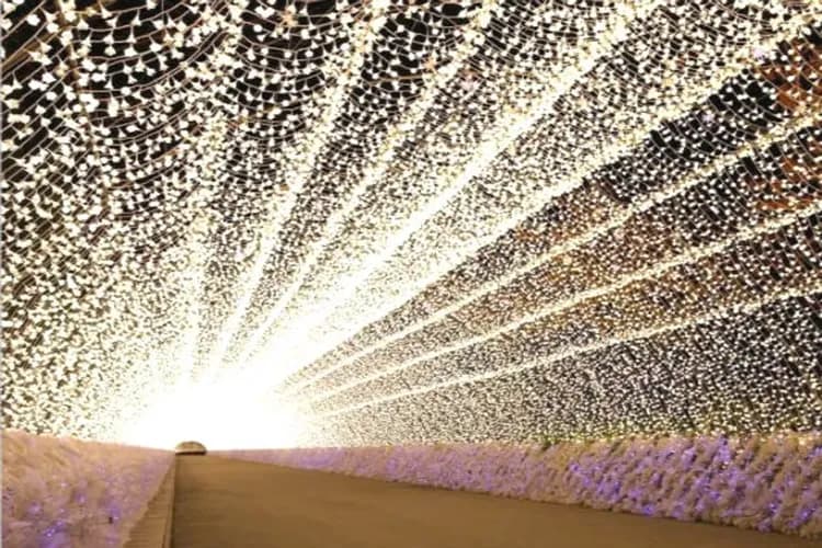 名花之里－冬華競演彩燈季