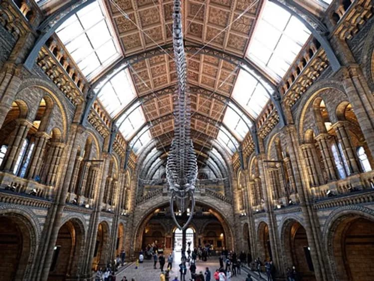 英國不思議~大英博物館、雙名校大學城、比斯特折扣城、我在倫敦半日閒七日-7