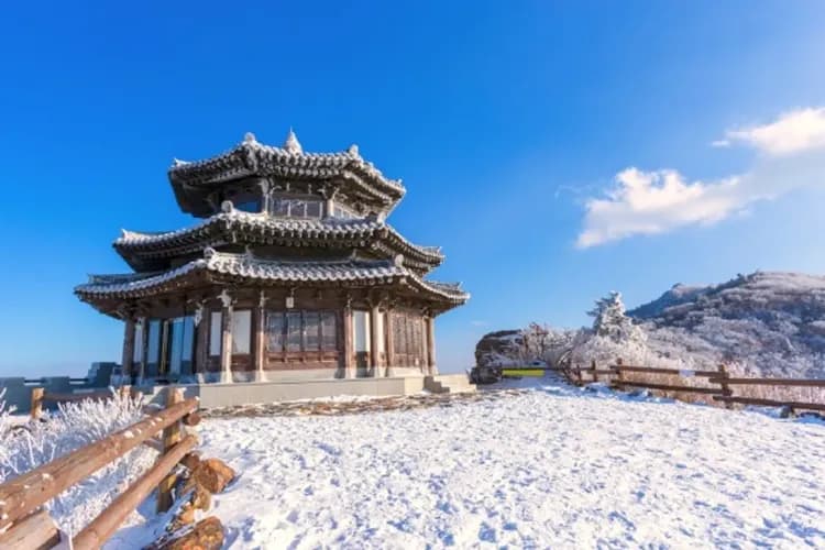 德裕山國家公園-德裕山雪川峰景觀纜車(韓版藏王樹冰)