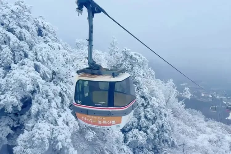 德裕山雪川峰景觀纜車(韓版藏王樹冰)