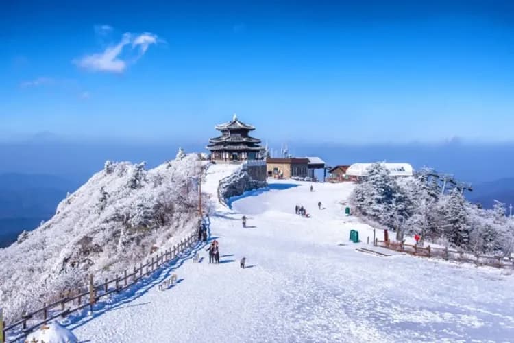 德裕山國家公園-德裕山雪川峰景觀纜車(韓版藏王樹冰)