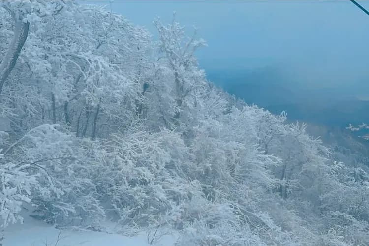 德裕山雪川峰景觀纜車(韓版藏王樹冰)