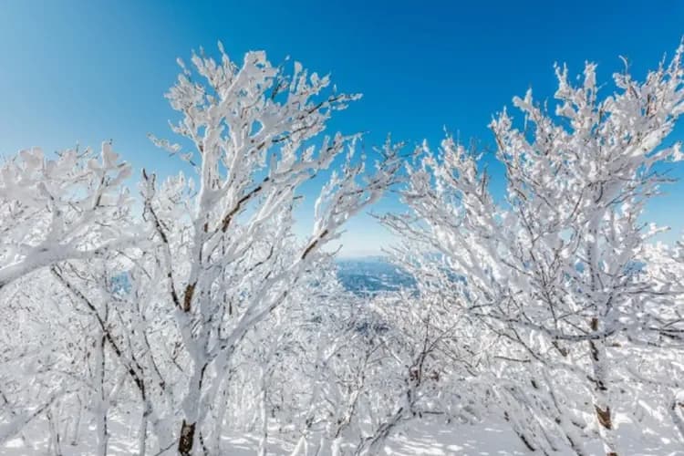 清州釜山喜迎春～釜山樂天世界、海岸觀光列車、雪川峰樹冰、積木村跆拳秀五日-5