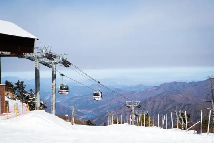 清州釜山喜迎春～釜山樂天世界、海岸觀光列車、雪川峰樹冰、積木村跆拳秀五日-6