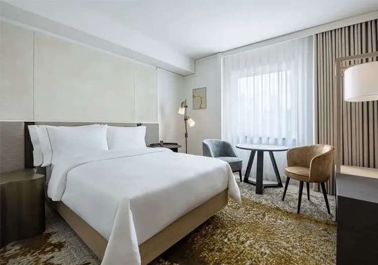 法蘭克福五星飯店