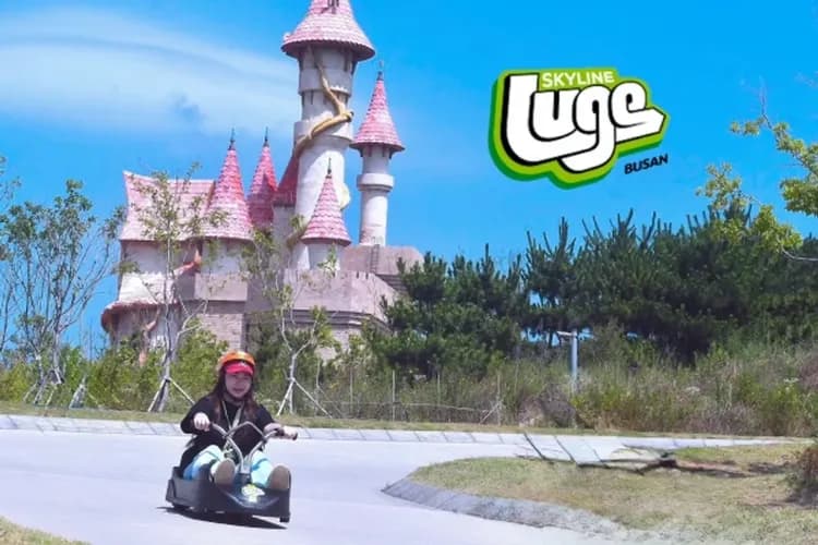 釜山斜坡滑車SKYLINE LUGE
