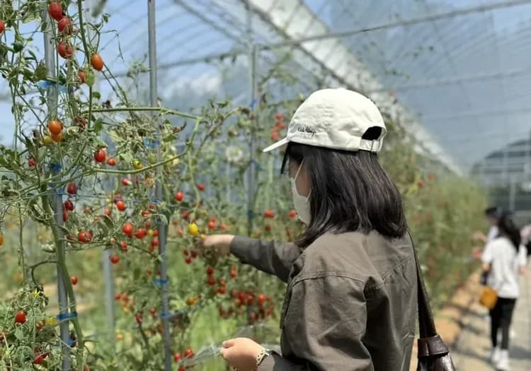 鮮採當季水果＋餵食山羊體驗