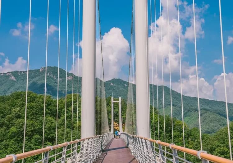 漢灘江天空之橋