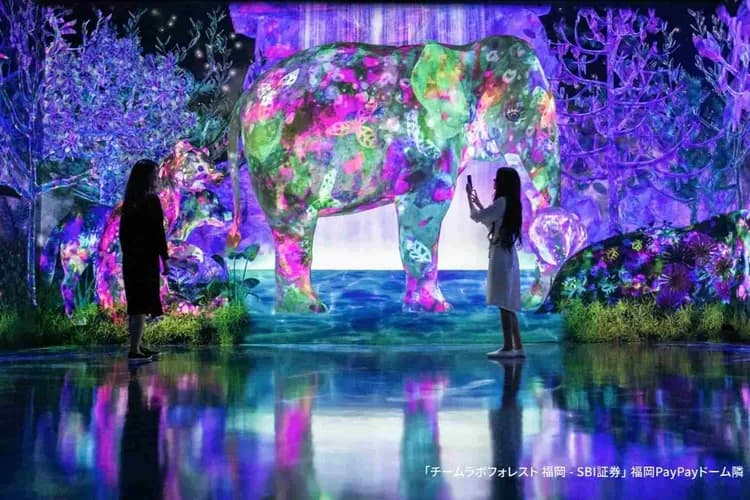 写真提供：チームラボ/禁止轉載-teamLab Forest Fukuoka 仲夏森林