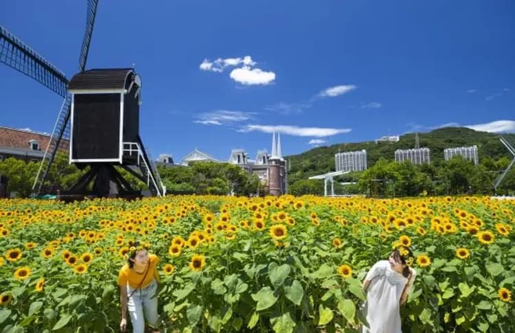 豪斯登堡(Miffy主題園區+繽紛花季+光之王國)