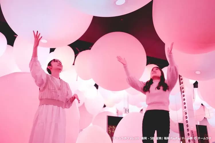 写真提供：チームラボ/禁止轉載-teamLab Forest Fukuoka 仲夏森林