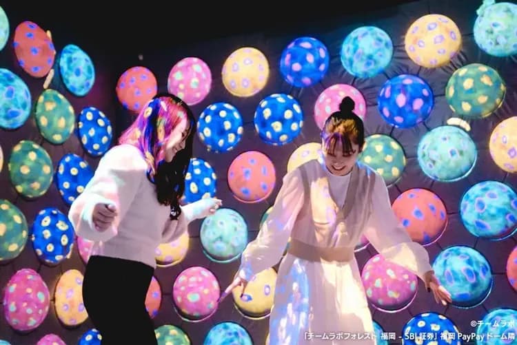 写真提供：チームラボ/禁止轉載-teamLab Forest Fukuoka 仲夏森林