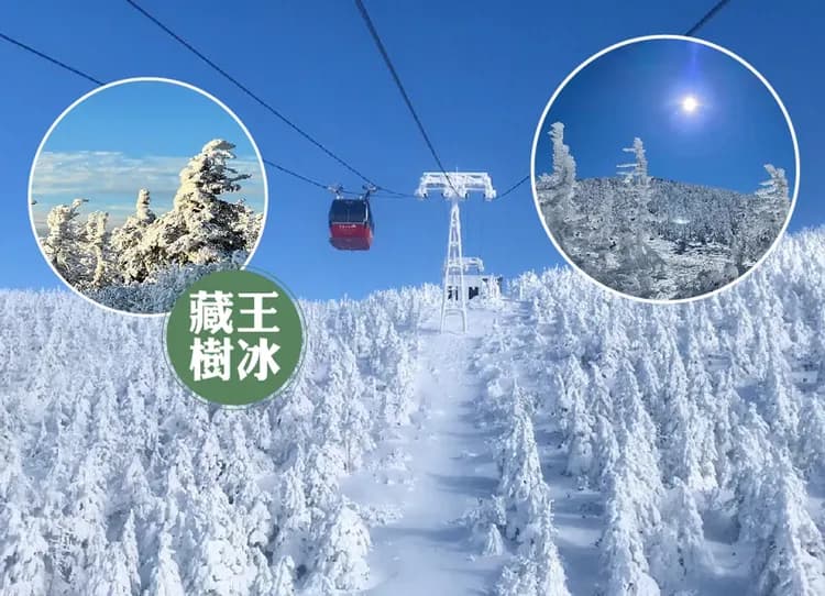 雪夢幻東北三溫泉5日.樹冰纜車.雪中山形鐵道.銀山溫泉.藏王狐狸村.冰世界.狔鼻溪遊船.採草莓.螃蟹和牛（花卷進仙台出）-11