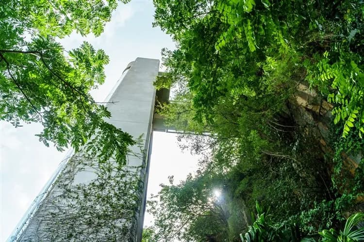 預購折3,000│越南旅遊│過年祈福放水燈‧峴港會安雙城‧天之手天空步道‧美溪沙灘‧全程五星飯店‧含簽證五日│高雄出發-7