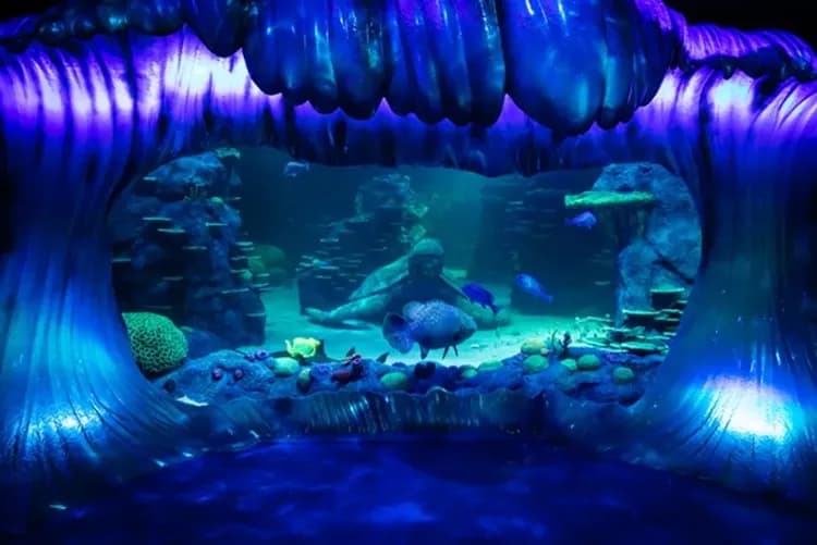 SEA LIFE Sydney Aquarium