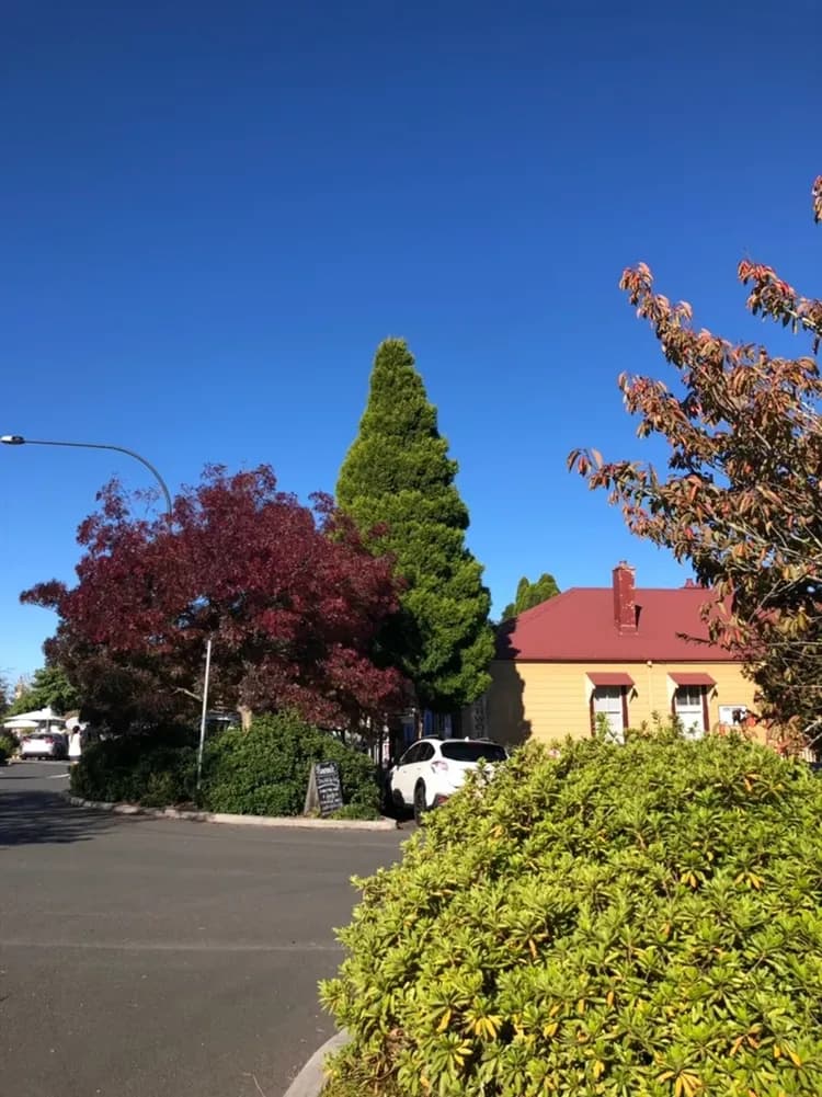 雪梨旅遊｜賀歲扣五千｜國泰旗艦·入住獵人酒莊·浪漫愛之船·悠遊藍山·達令港灣必趣五重奏·美食美酒饗宴7日(7天5夜)-5