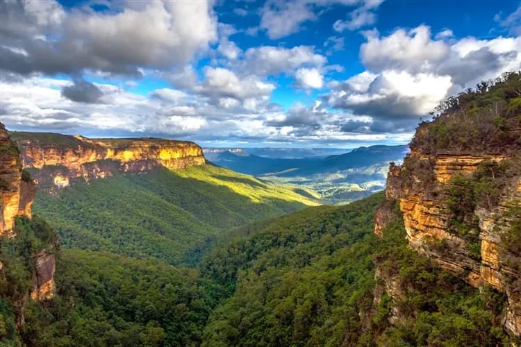 澳洲旅遊|賀歲扣五千|全程五星·墨爾本古董蒸汽火車·神仙小企鵝歸巢·雪梨悠遊藍山·黃金海岸擁抱無尾熊·東澳全覽9日-7