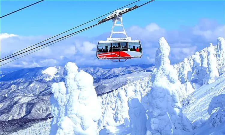 八甲田山樹冰(日本最大樹冰群)