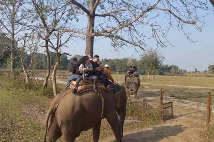 【奇幻尼泊爾、中段搭機】奇旺國家公園、兩大生態體驗、三大杜巴廣場、四晚五星飯店九日-11