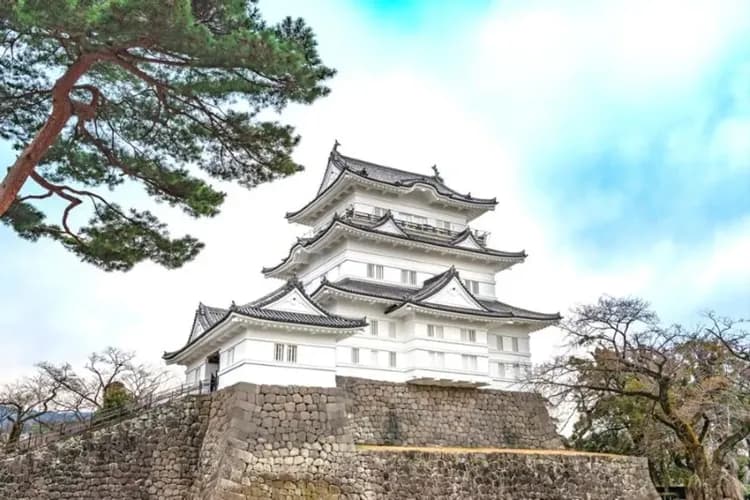東京河津櫻花～熱海梅花祭、伊豆全景公園、御殿場OUTLET、三晚住宿溫泉五日-7