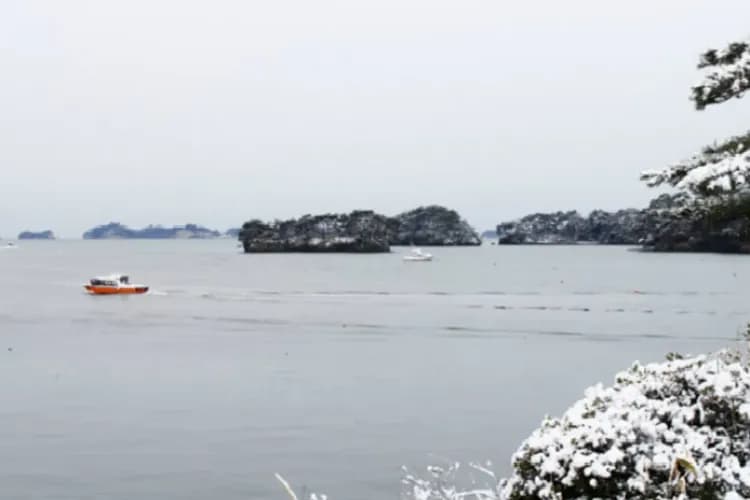 松島灣遊覽船(日本三景)