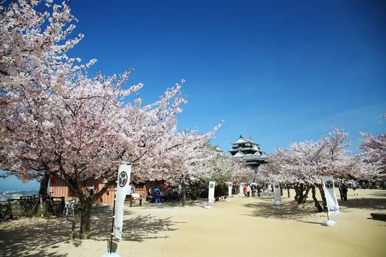 櫻情岡山四國～魔女小豆島、大步危遊覽船、名園名景漫遊、賞味溫泉美食五日