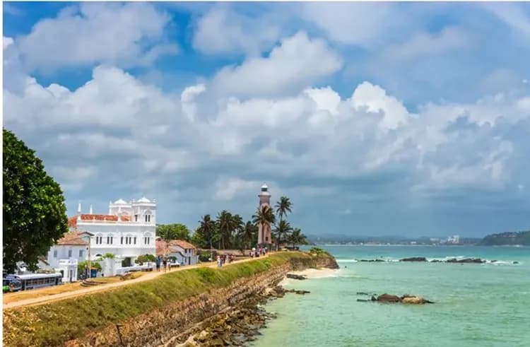 新春清艙斯里蘭卡～獅子岩丹布拉、出海觀賞藍鯨、歷史城市漫遊、七晚五星飯店10日-11