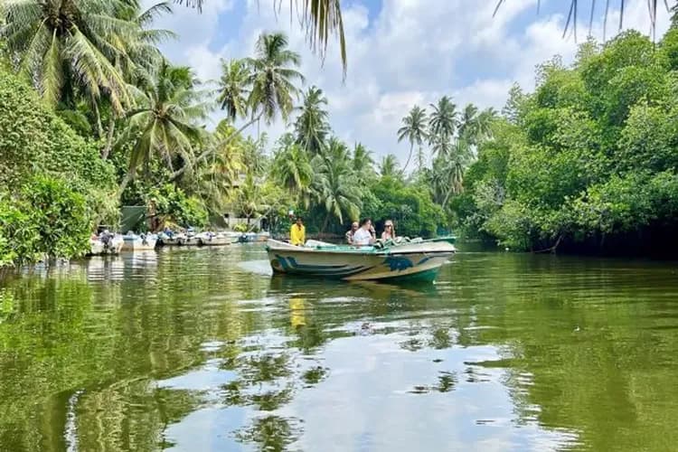 新春清艙斯里蘭卡～獅子岩丹布拉、出海觀賞藍鯨、歷史城市漫遊、七晚五星飯店10日-9
