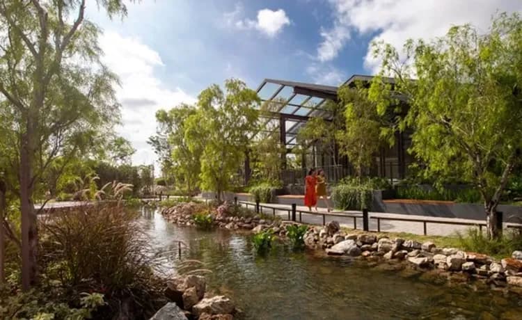 Bamboo Hills(星巴克一杯)