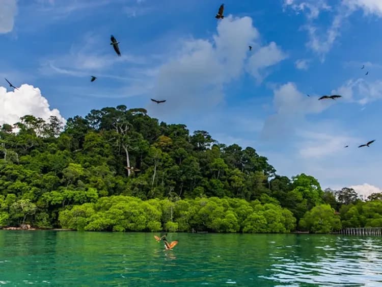 餵老鷹-蘭卡威三離島