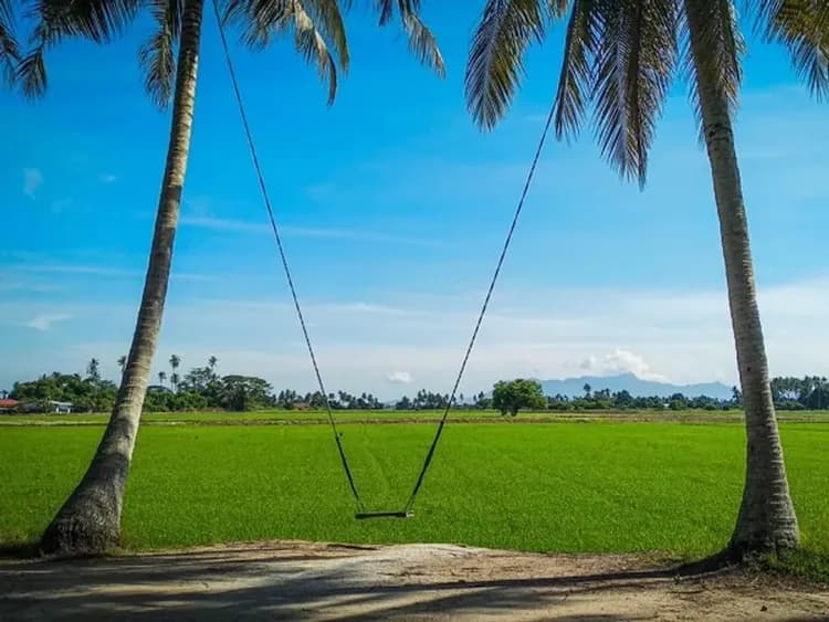 阿貢村-傳統馬來村莊魅力~甘榜阿貢村KampungAgong(馬來高腳屋、網美最愛鳥巢、椰林秋千)