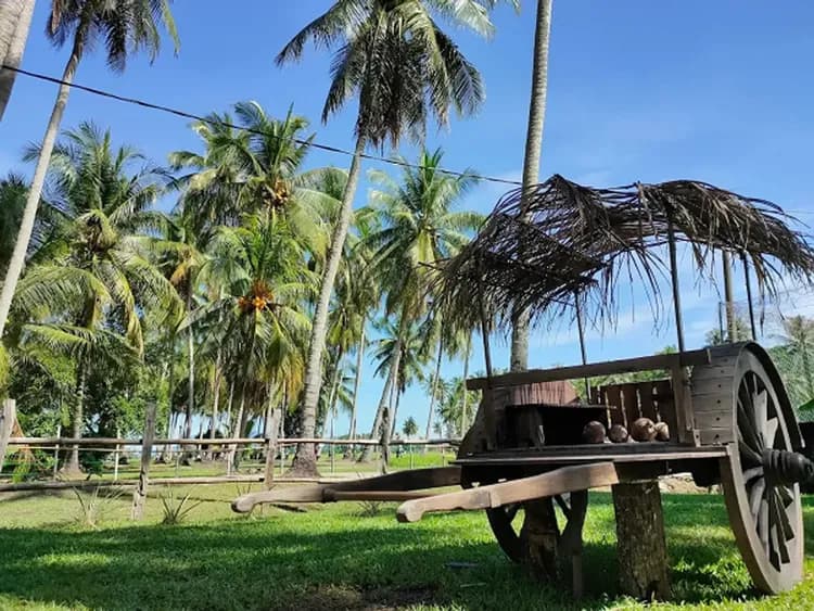 阿貢村-傳統馬來村莊魅力~甘榜阿貢村KampungAgong(馬來高腳屋、網美最愛鳥巢、椰林秋千)