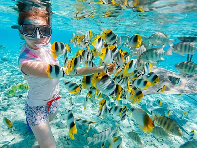 邦喀島-邦咯島海洋派對