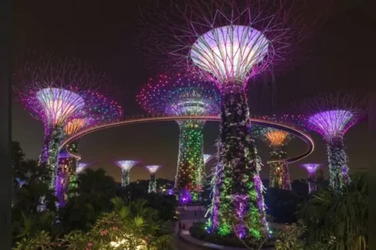 超級樹-新加坡：超級天空樹幻彩燈光秀